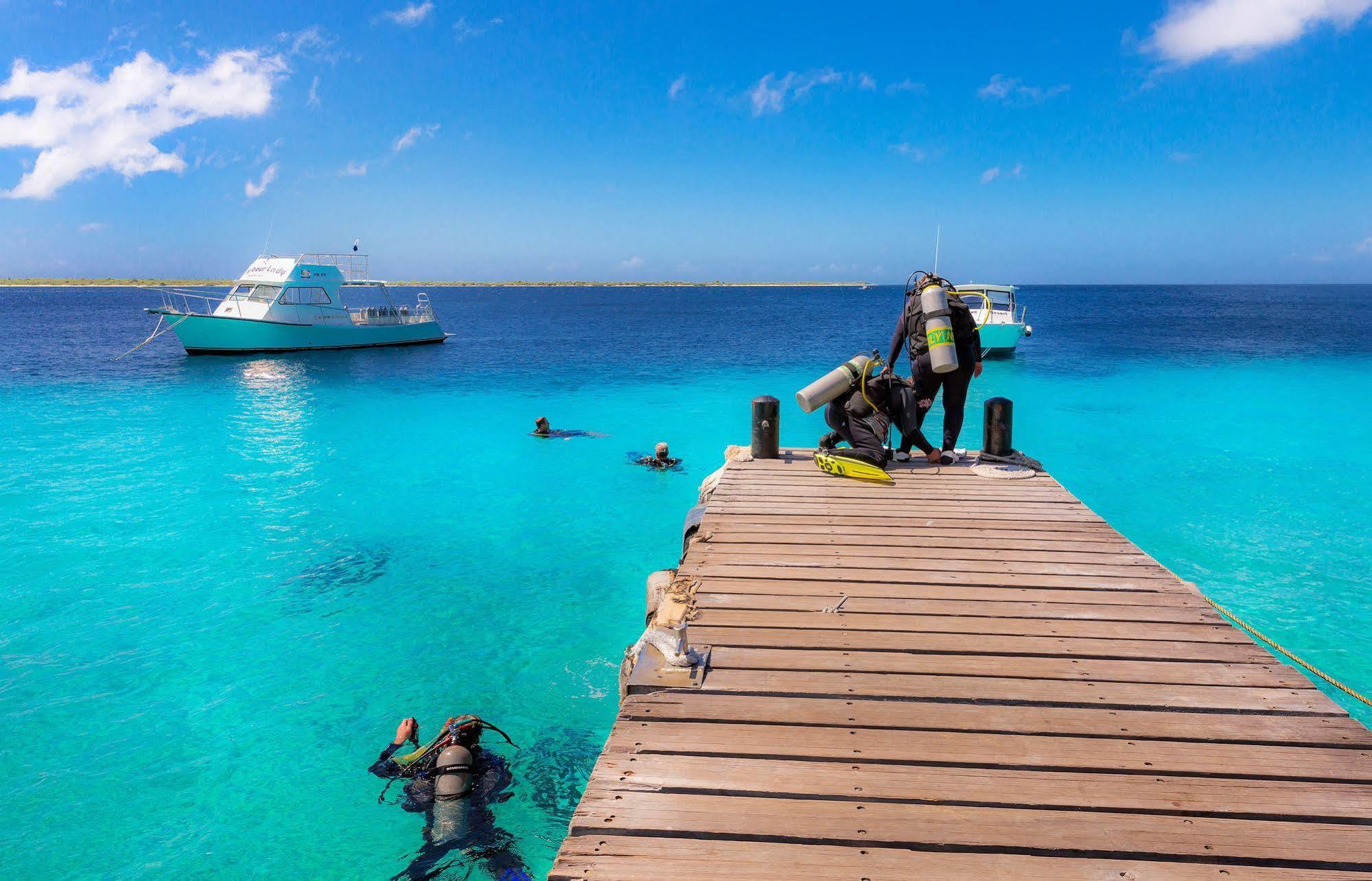 Buddy Dive Aparthotel