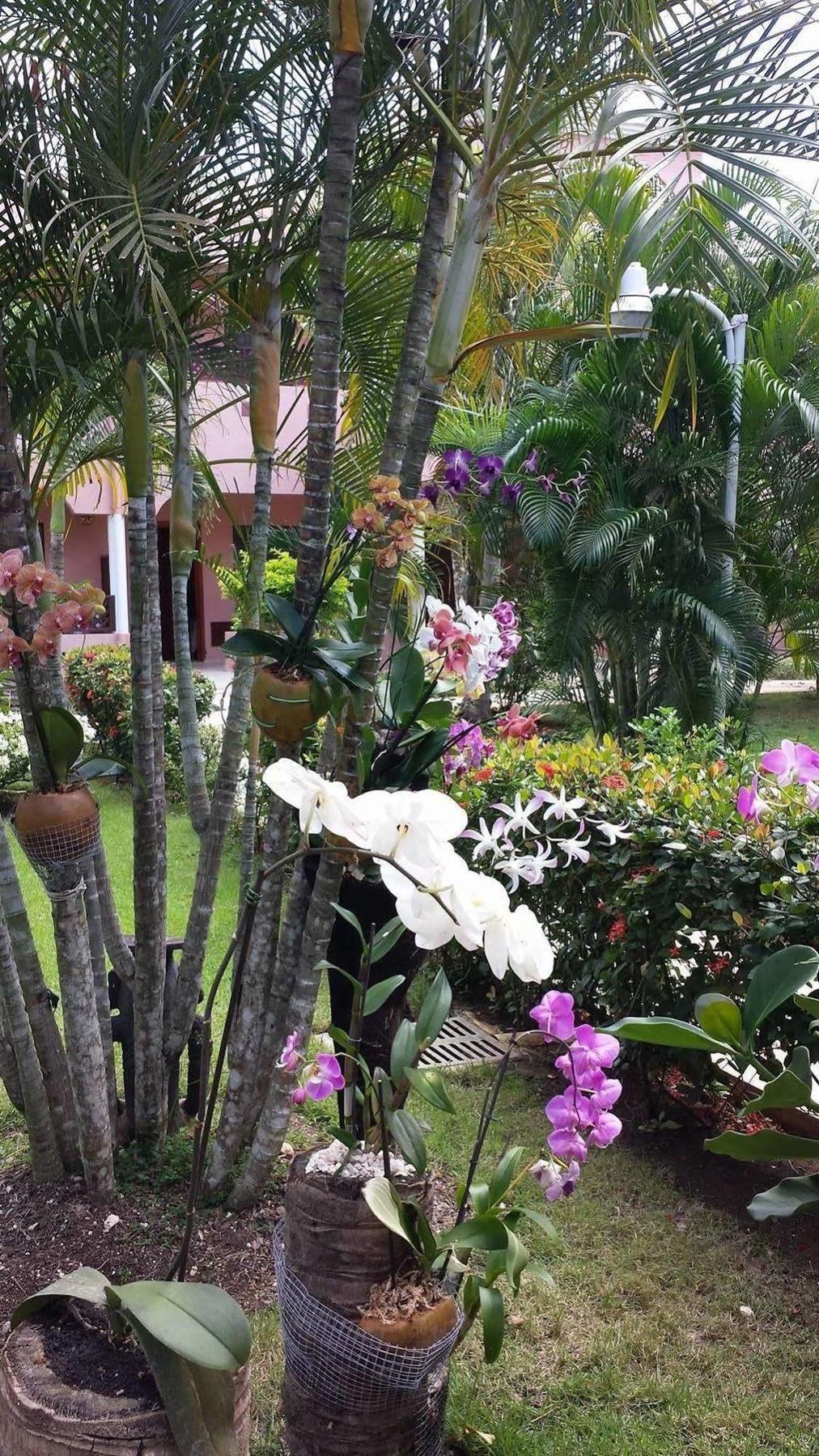 Hotel Soficu El Eden Dominicus