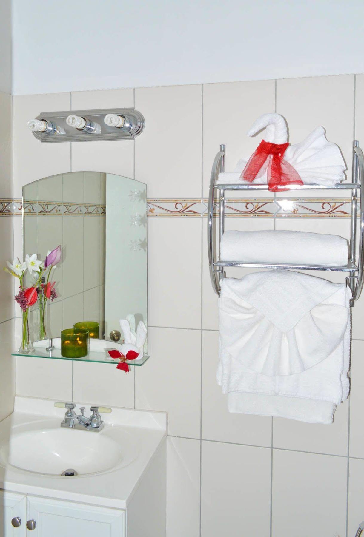 Guest house La Flamboyant Roseau