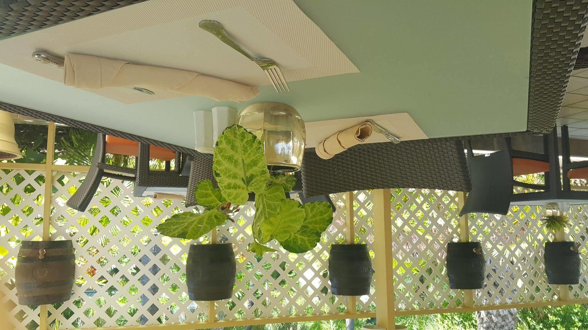 Hotel Blue Horizons Garden 3*