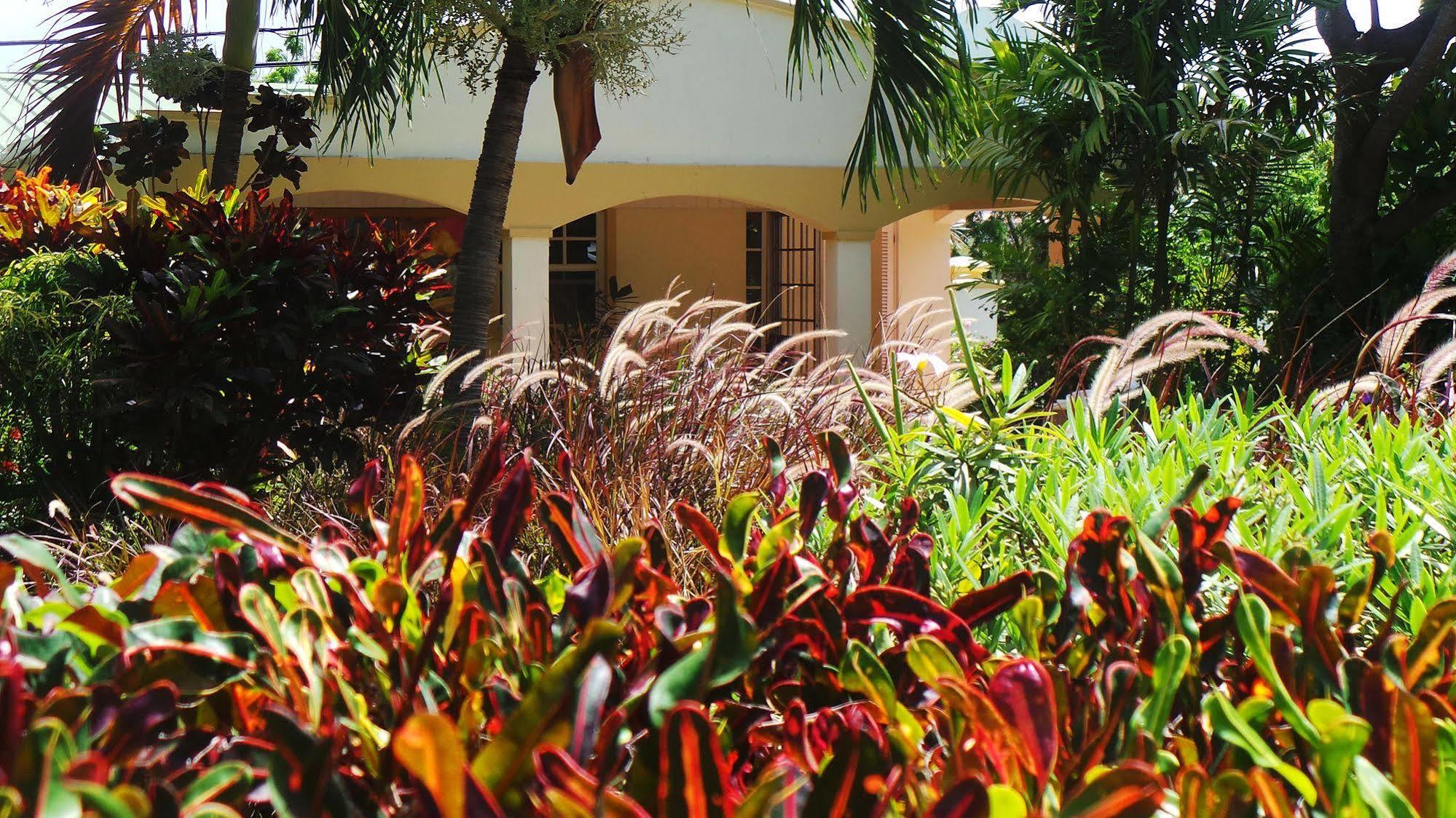Blue Horizons Garden Hotel 3*