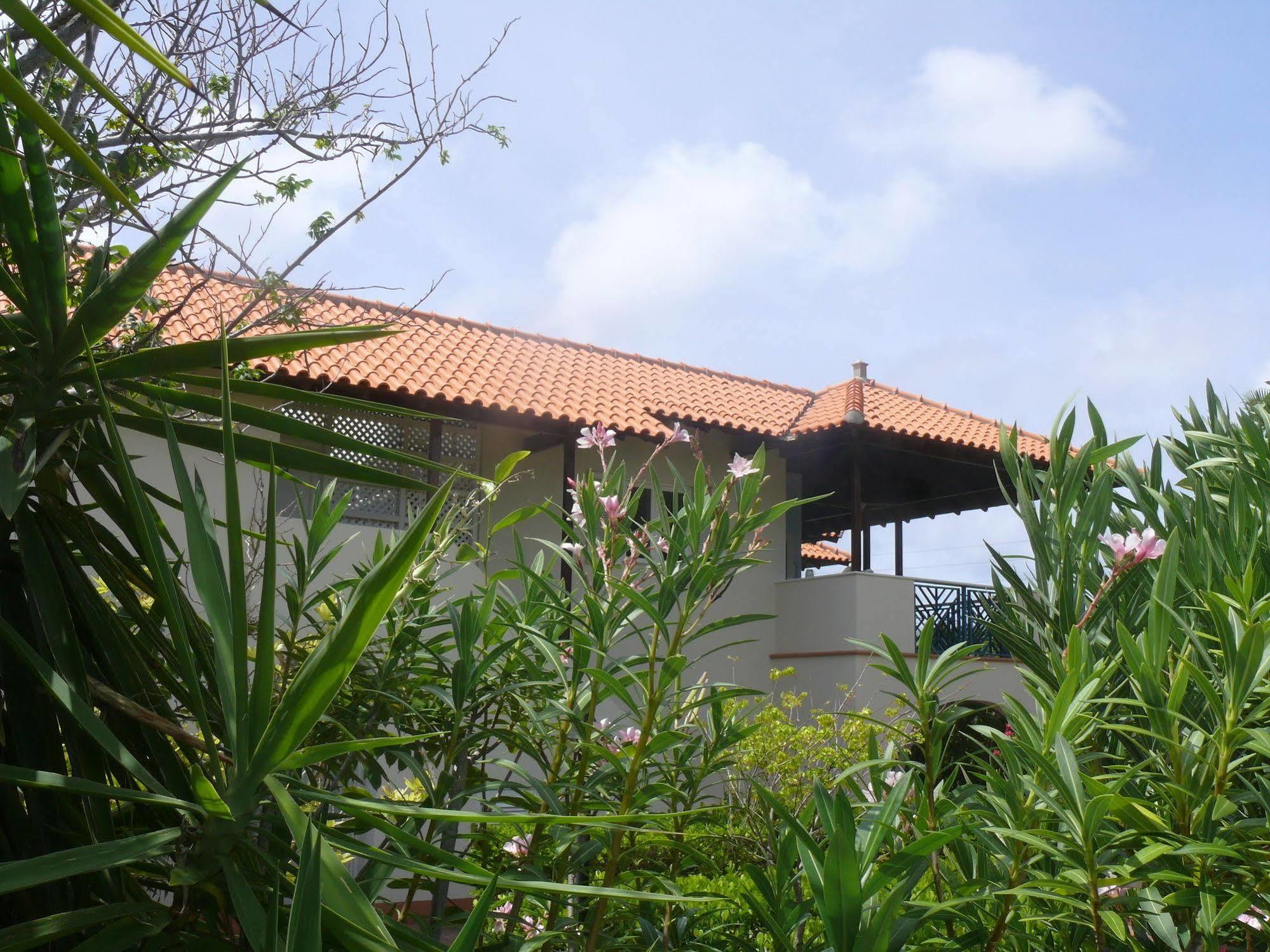Apartment 1 And 5 In Windsock *