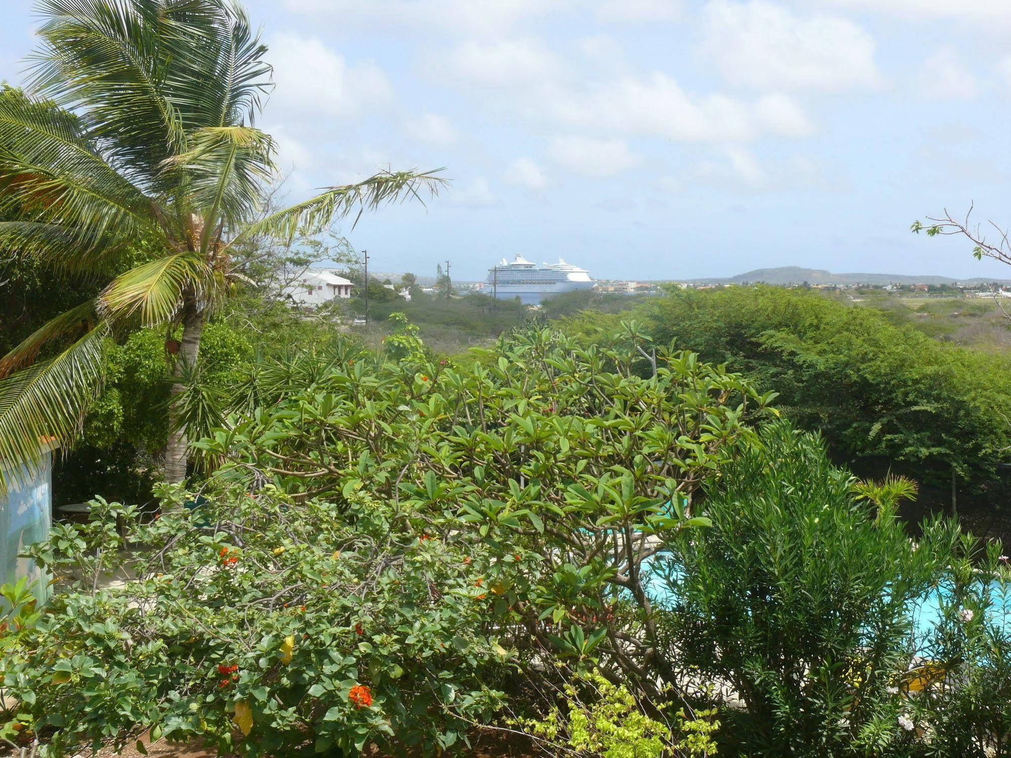 Apartment 1 And 5 In Windsock Bonaire