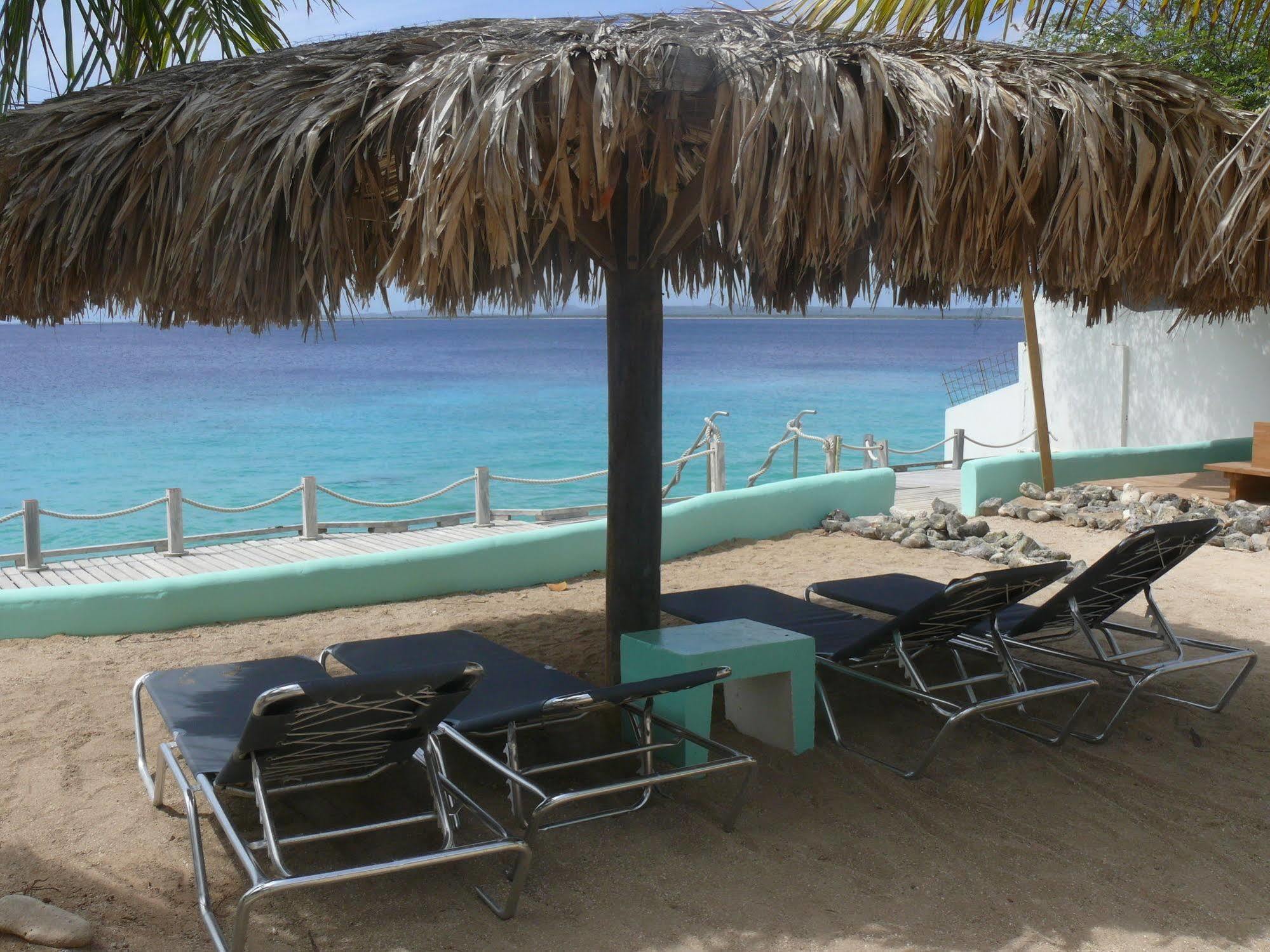1 And 5 In Windsock Apartment Bonaire