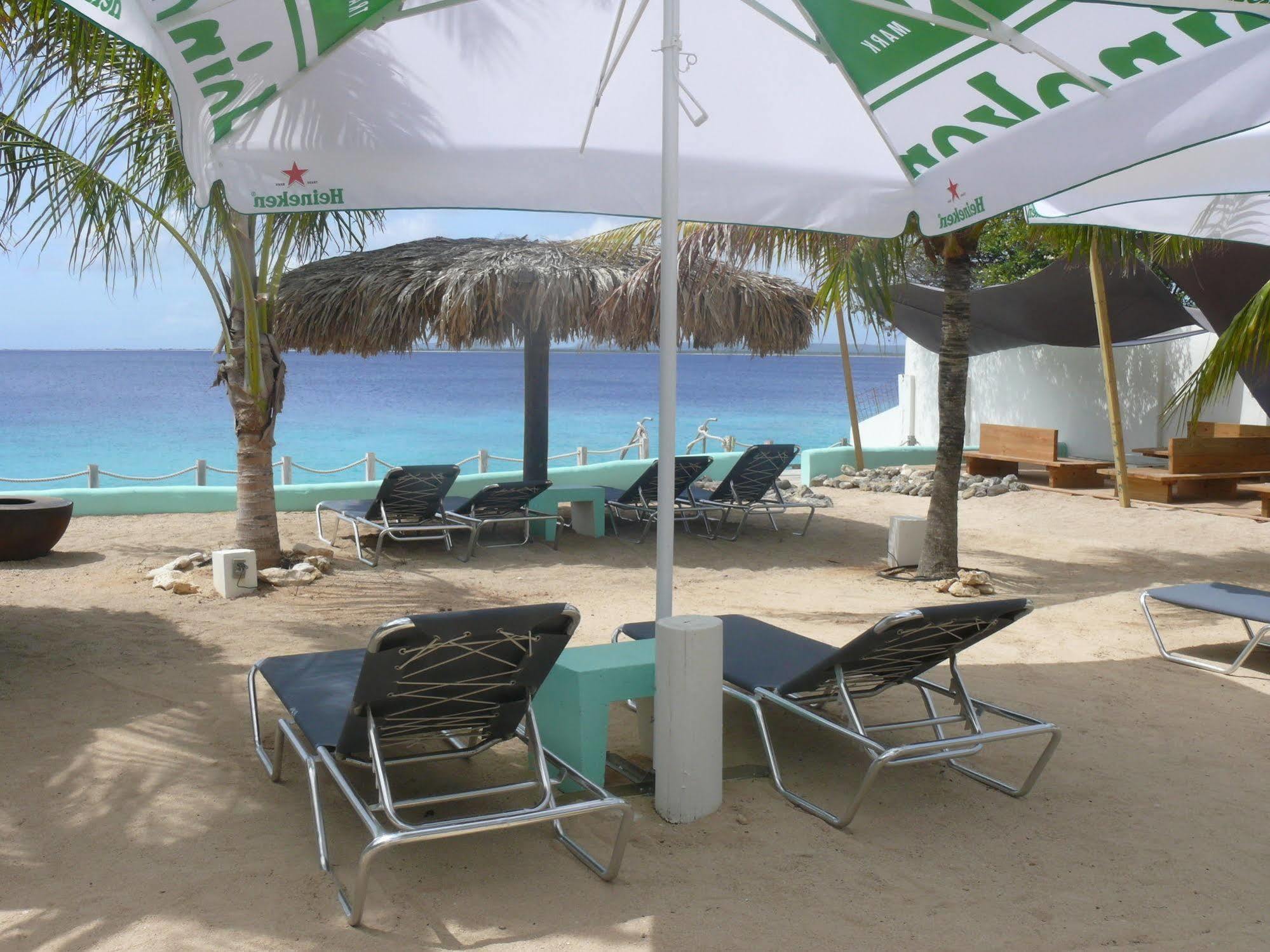 1 And 5 In Windsock * Bonaire