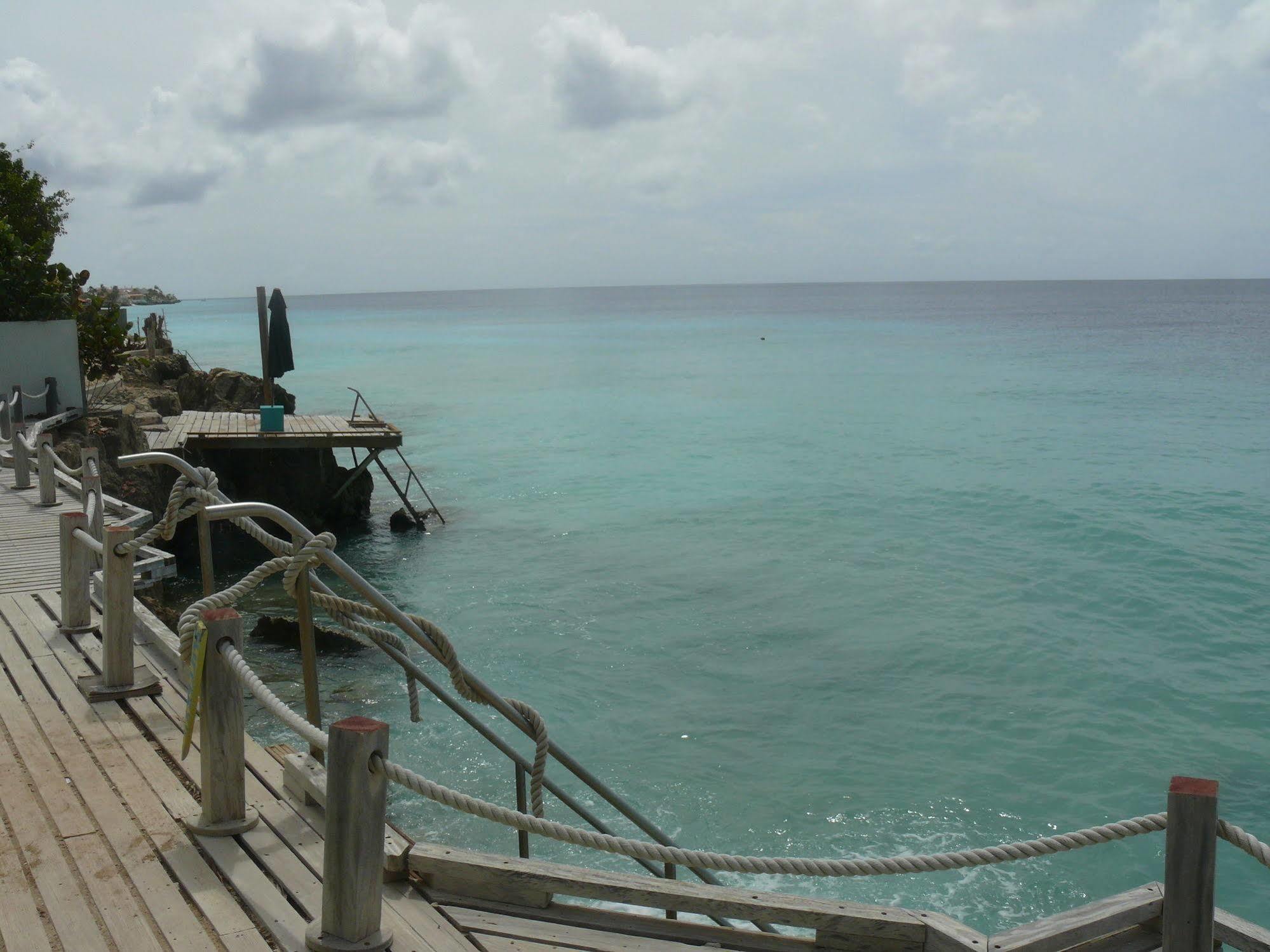 1 And 5 In Windsock * Bonaire