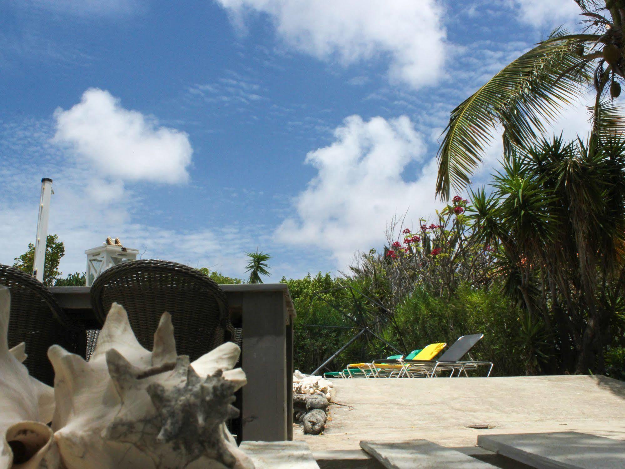 1 And 5 In Windsock Bonaire