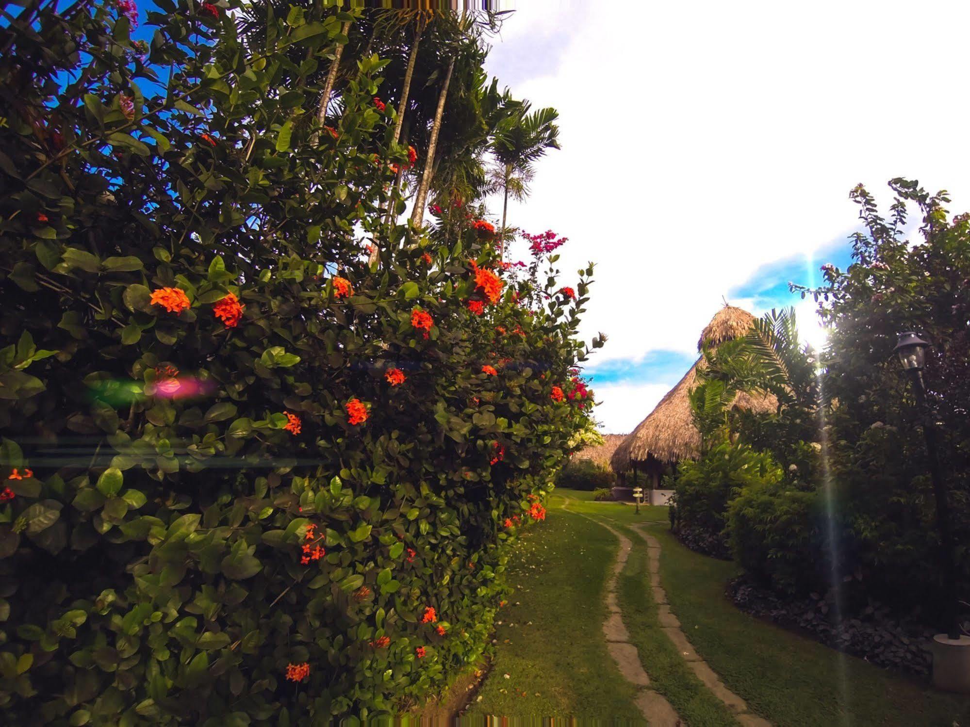 Kariwak Village Holistic Haven 3*