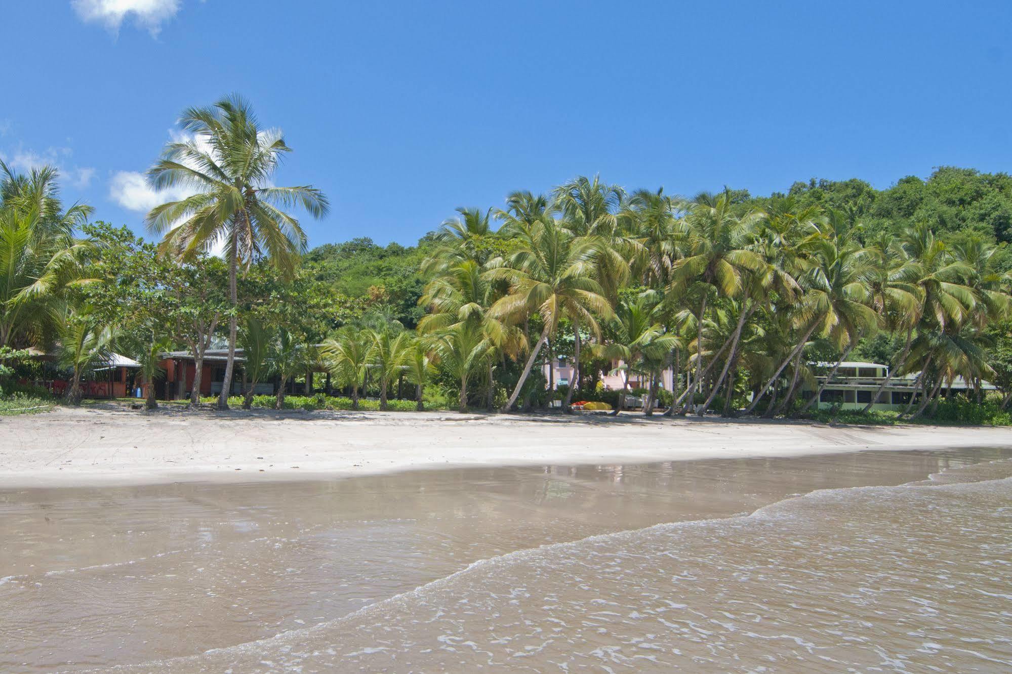 La Sagesse Bay View