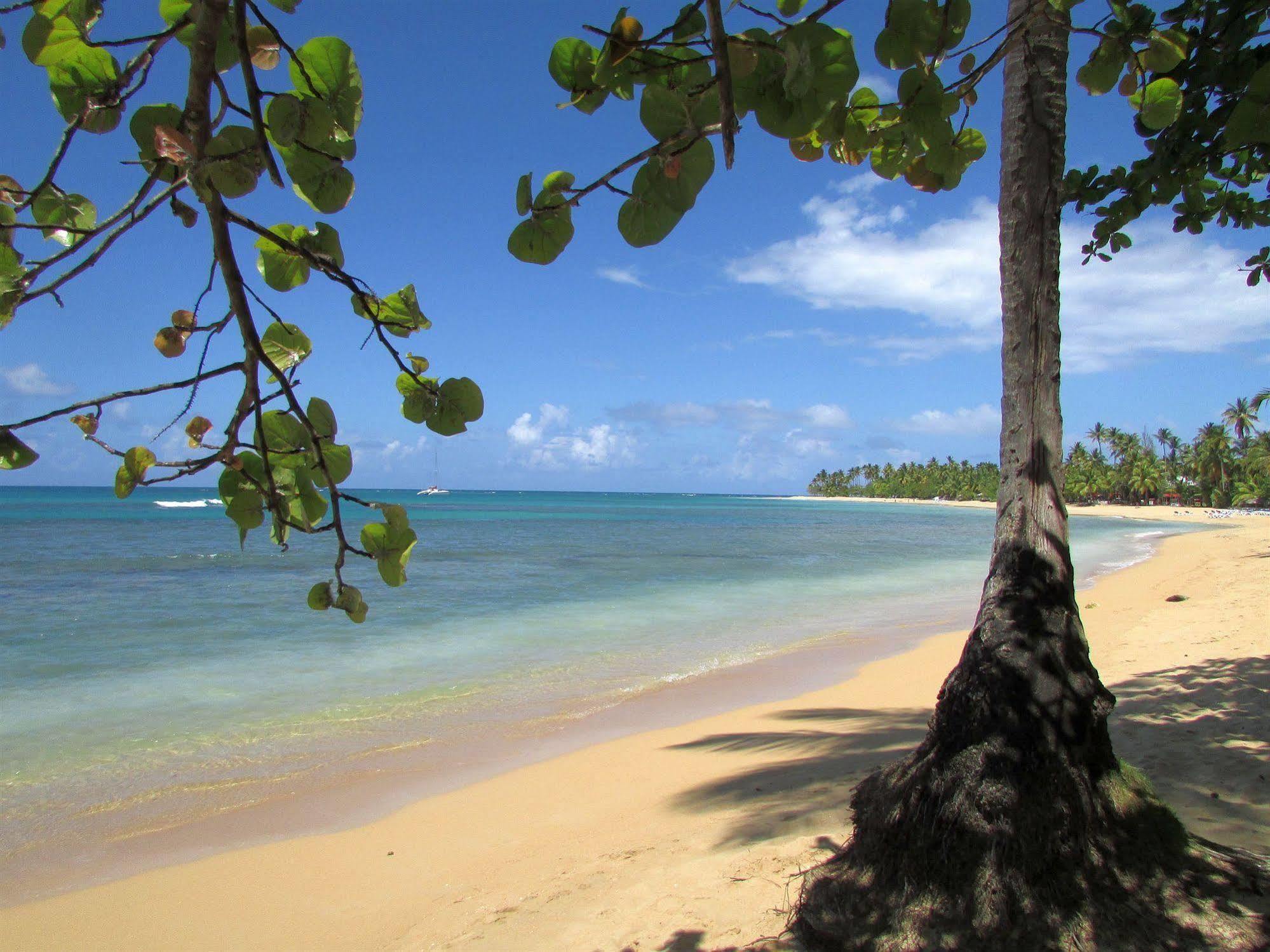 Palmas Eco Inn Las Terrenas
