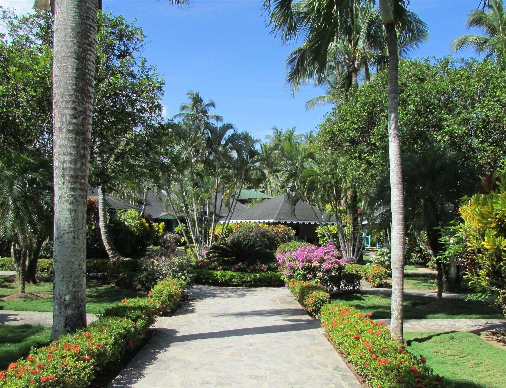 Palmas Eco Inn
