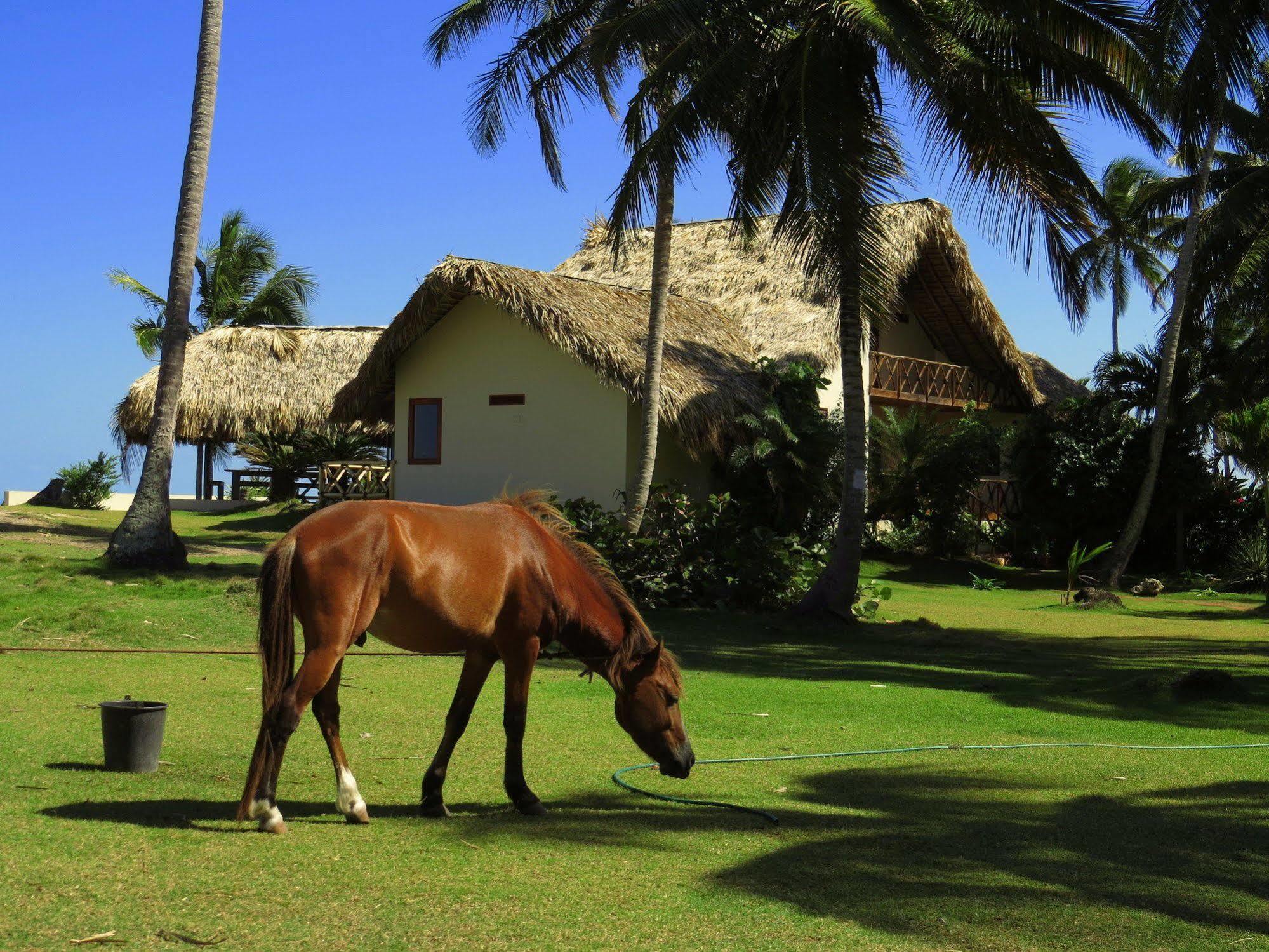Punta Coral El Francés