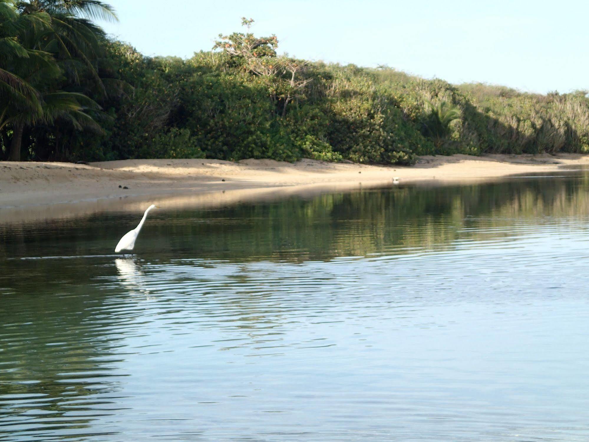 Ababor Suites 3* Vieques