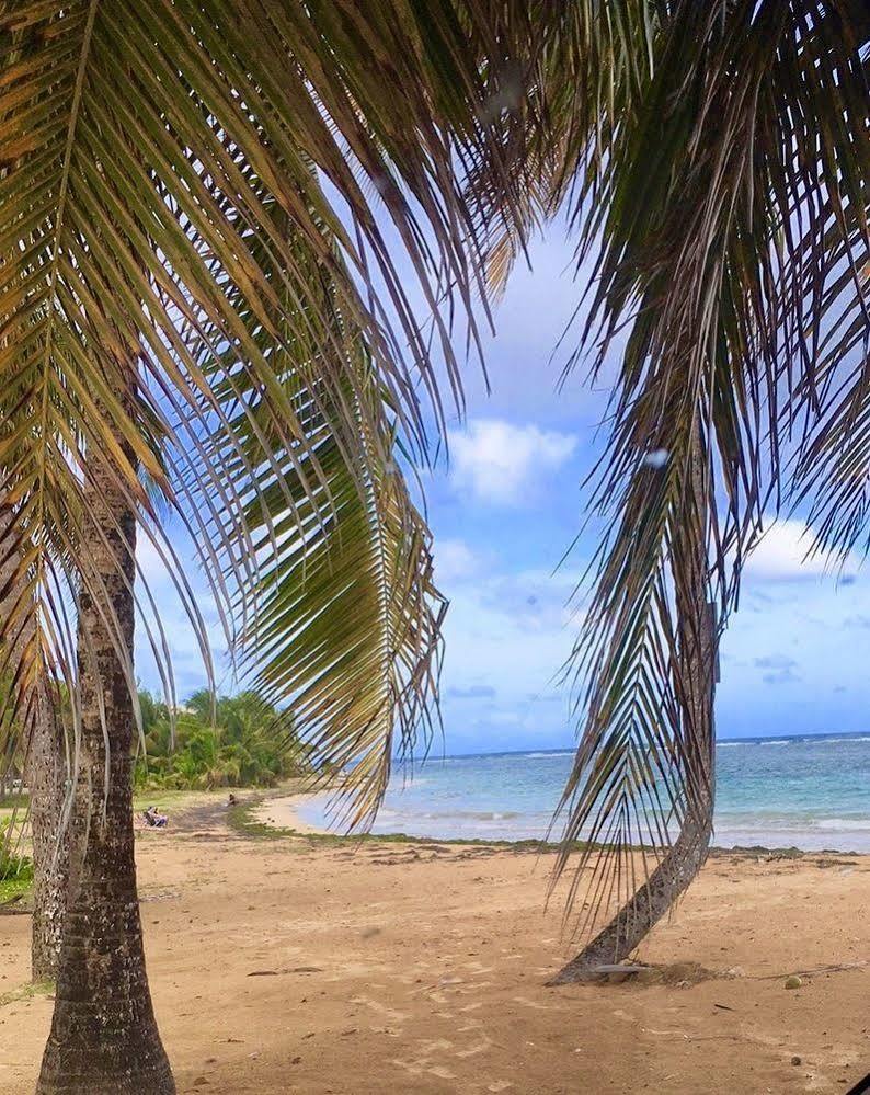 Ocean Pearl Luquillo