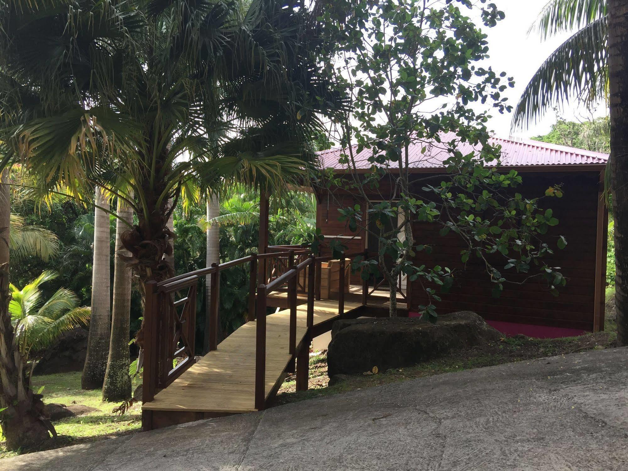 L'ilot Palmiers Guest house