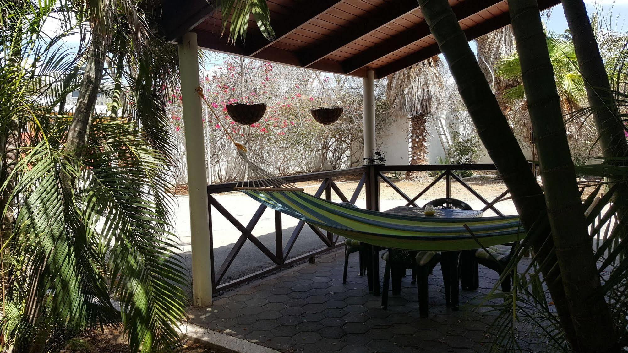 Hotel Damacor 3*