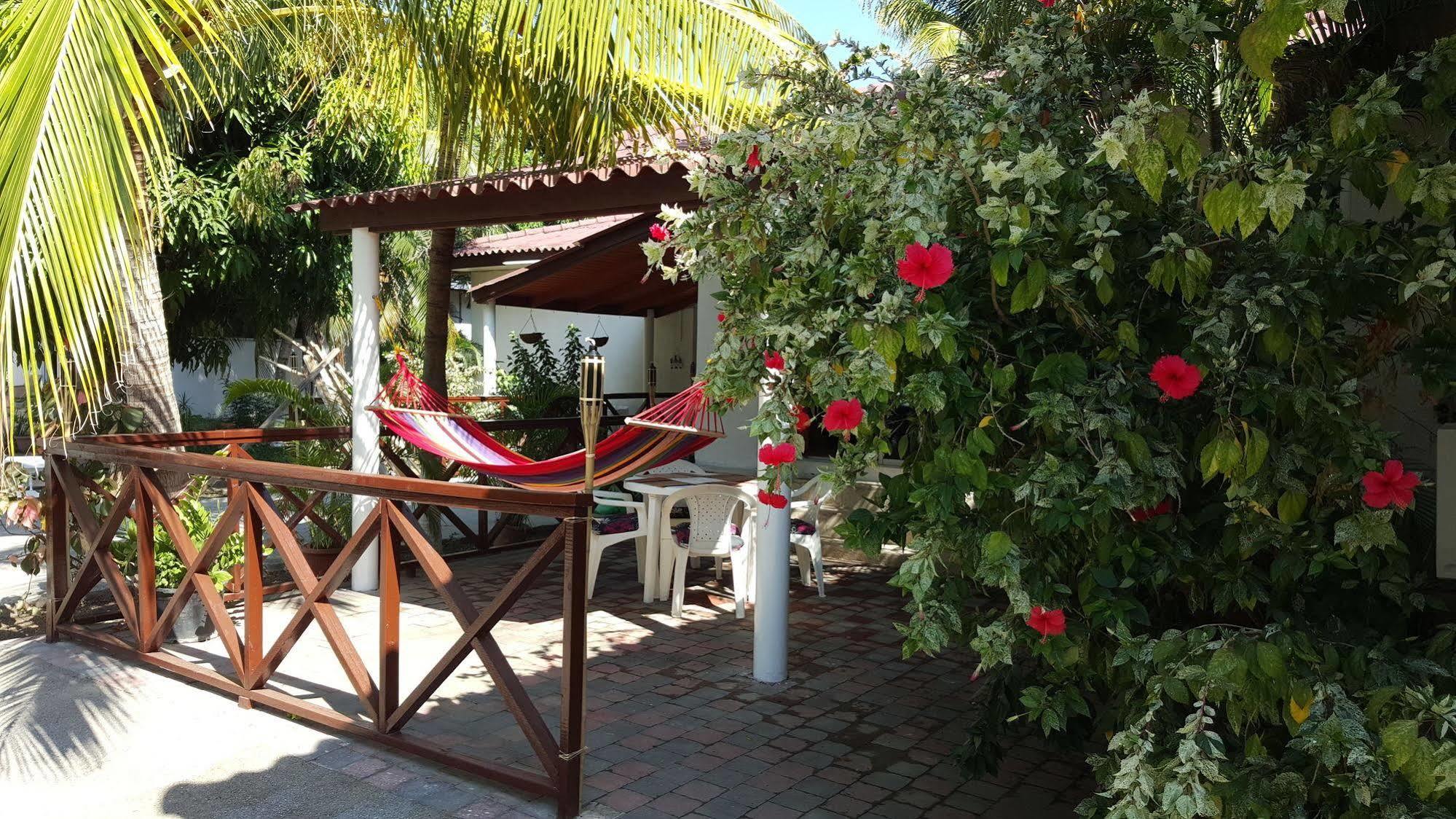 Damacor 3* Willemstad