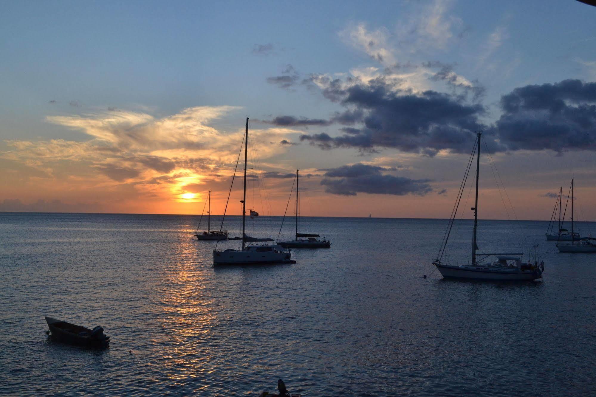Anchorage Hotel, Whale Watch & Dive Center Guest house
