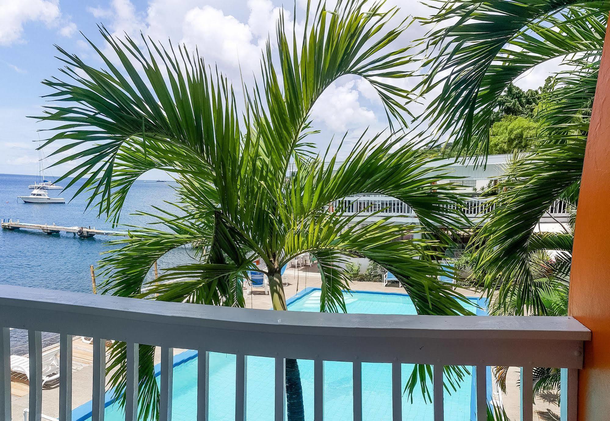 Anchorage Hotel, Whale Watch & Dive Center Guest house Roseau
