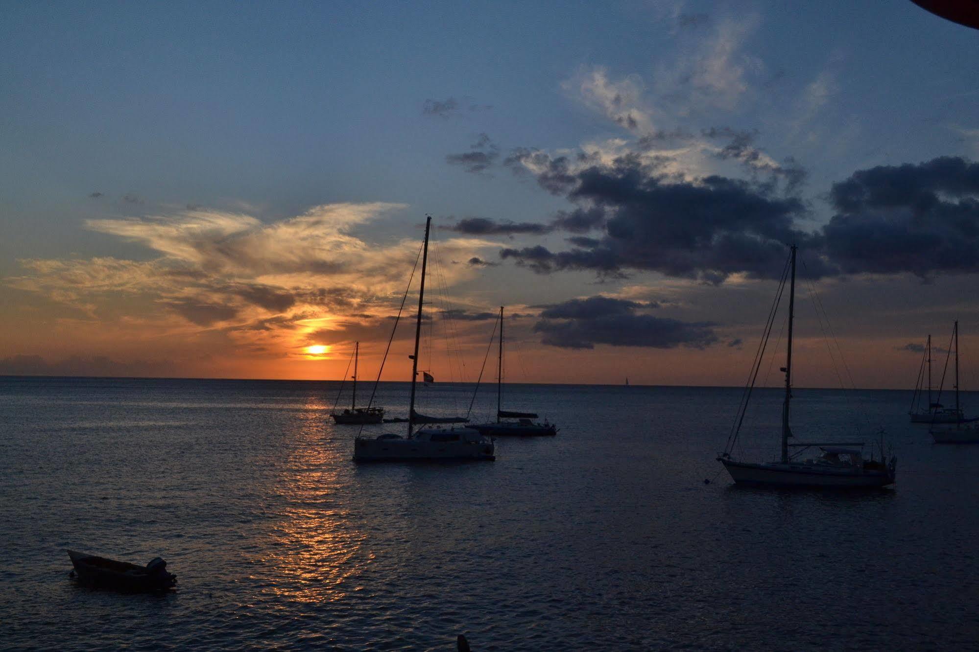 Anchorage Hotel, Whale Watch & Dive Center Guest house Roseau