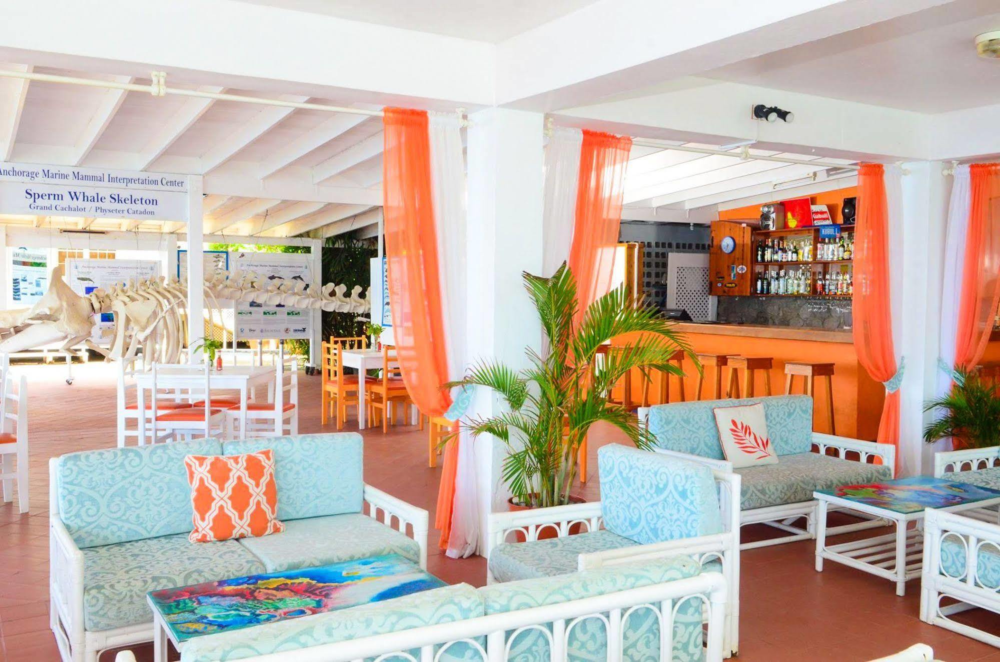 Guest house Anchorage Hotel, Whale Watch & Dive Center 3*