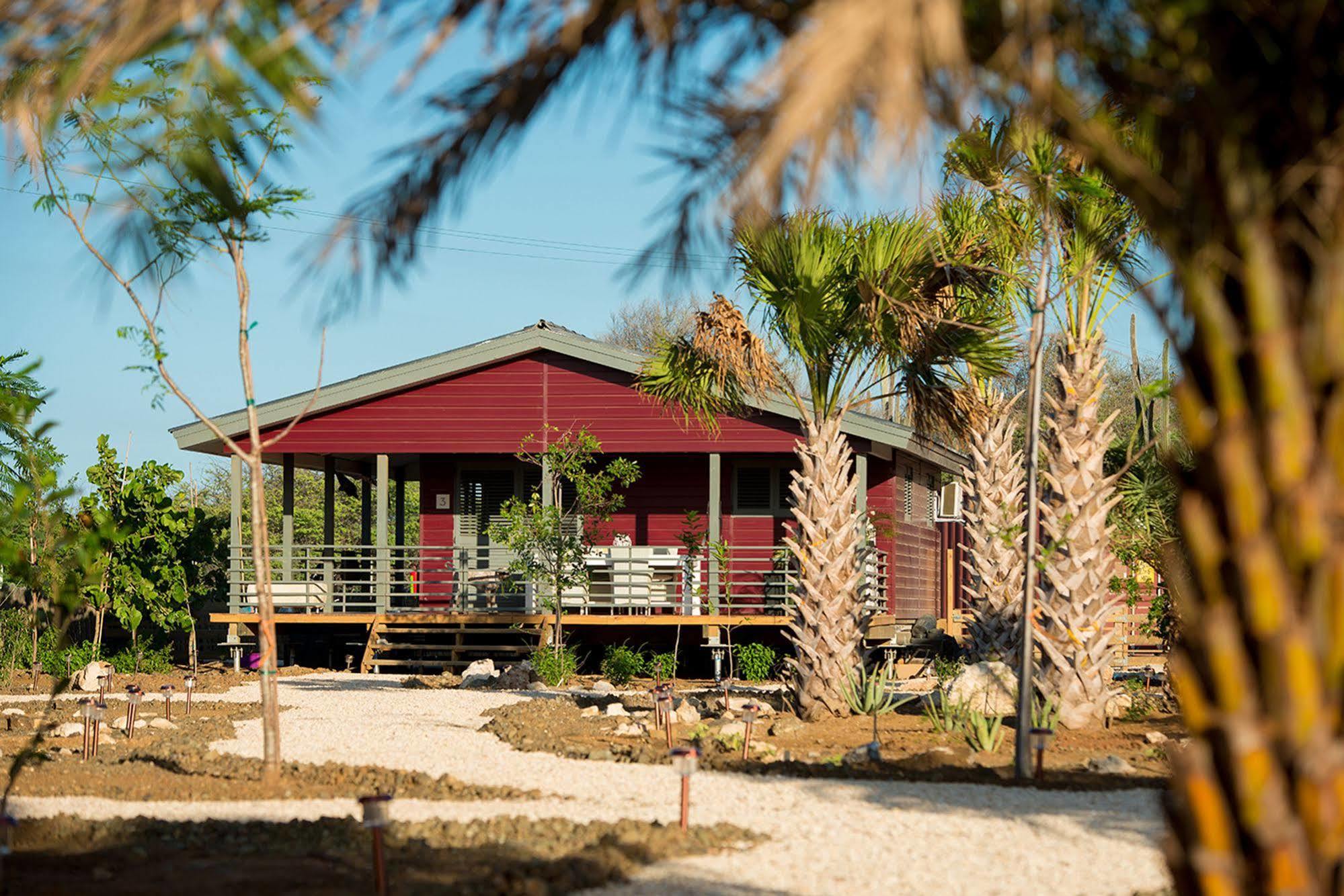 Red Palm Village
