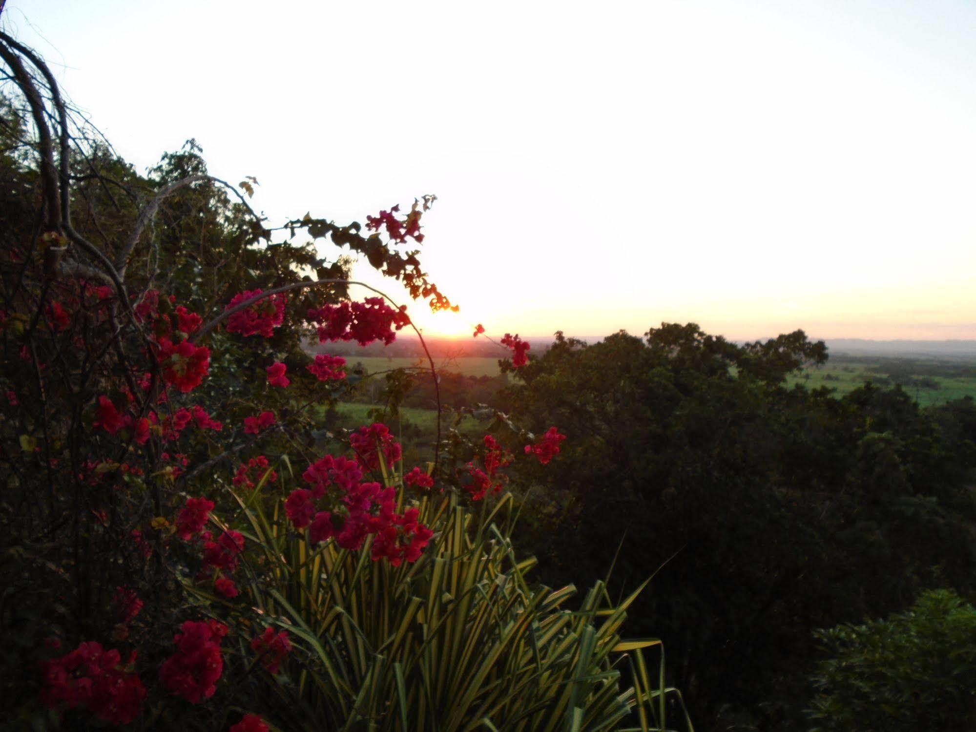 Sunset Heal Jamaica Caledonia
