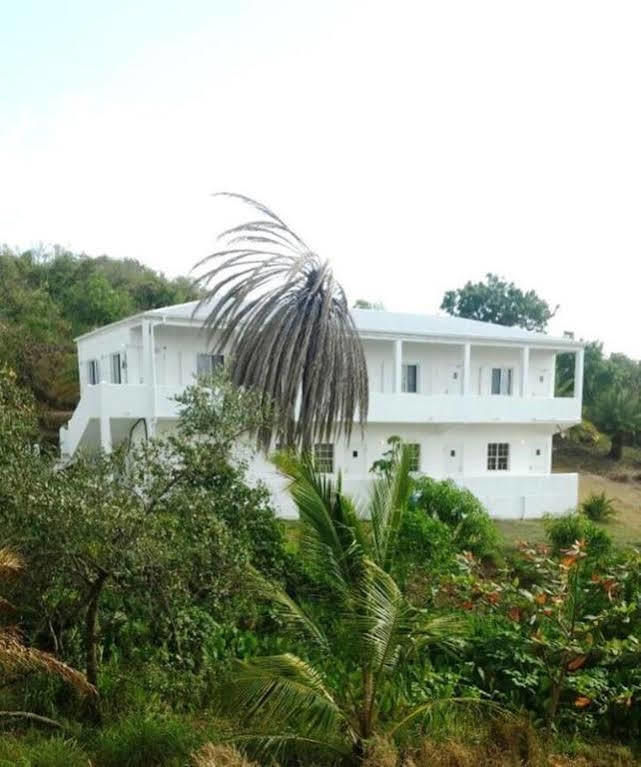 Apartment Date Palms