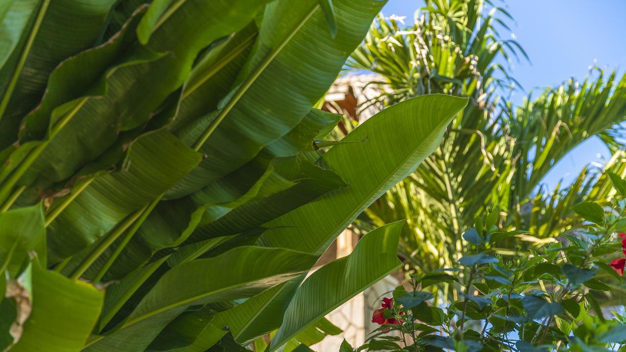 The Retreat Boutique Hotel Negril