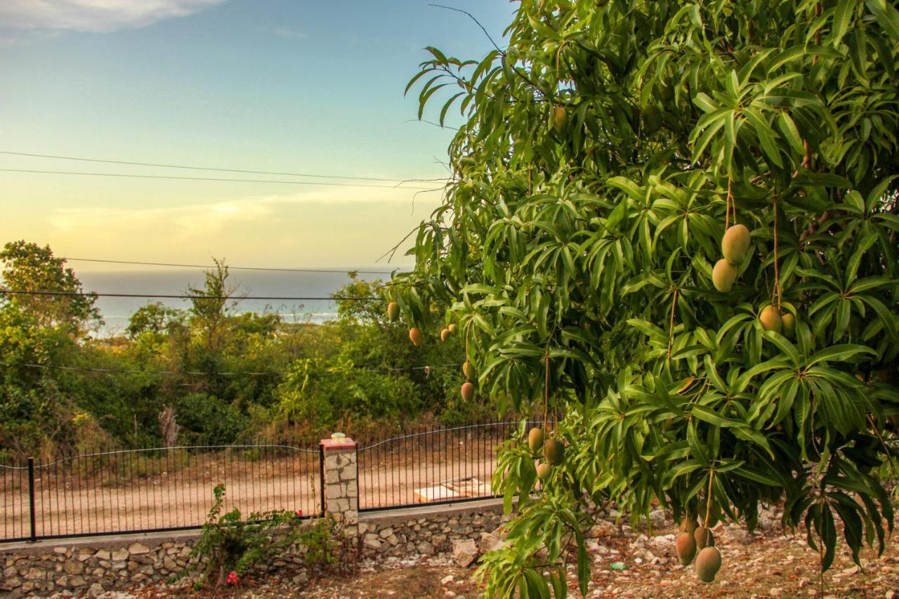 Sunshine Lodge: Your Away From Casa de férias