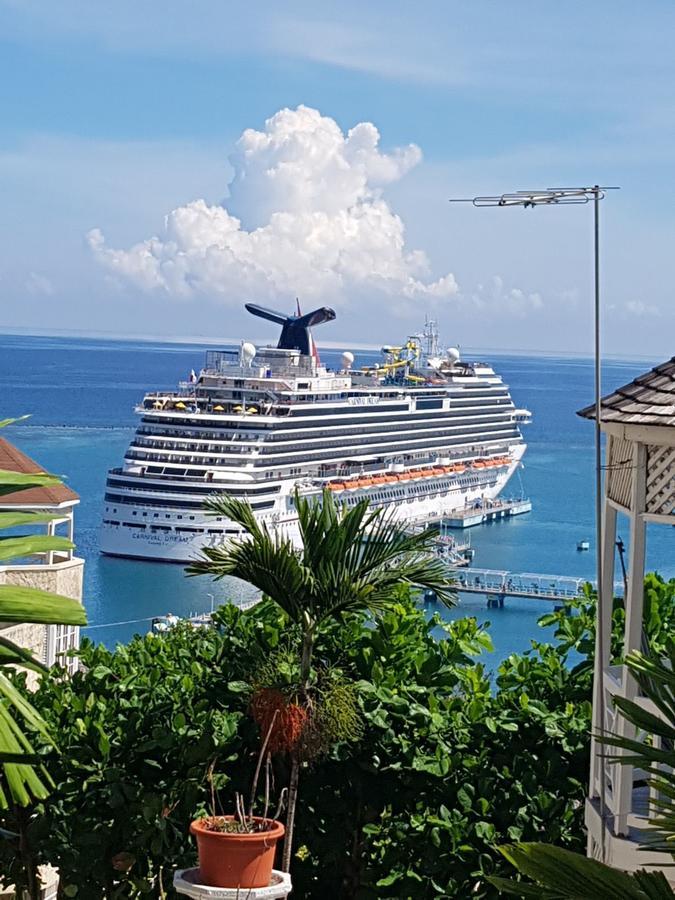 Elegant Awesome View