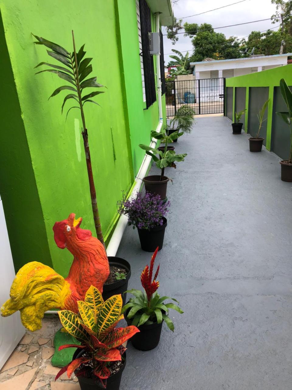 Good Vibe Guest house Vieques