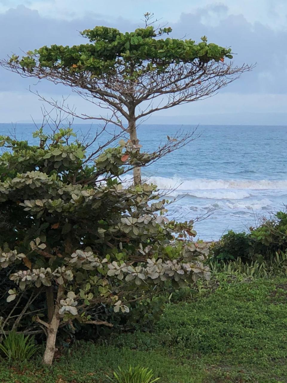 Aparthotel Barefoot Beach Pad