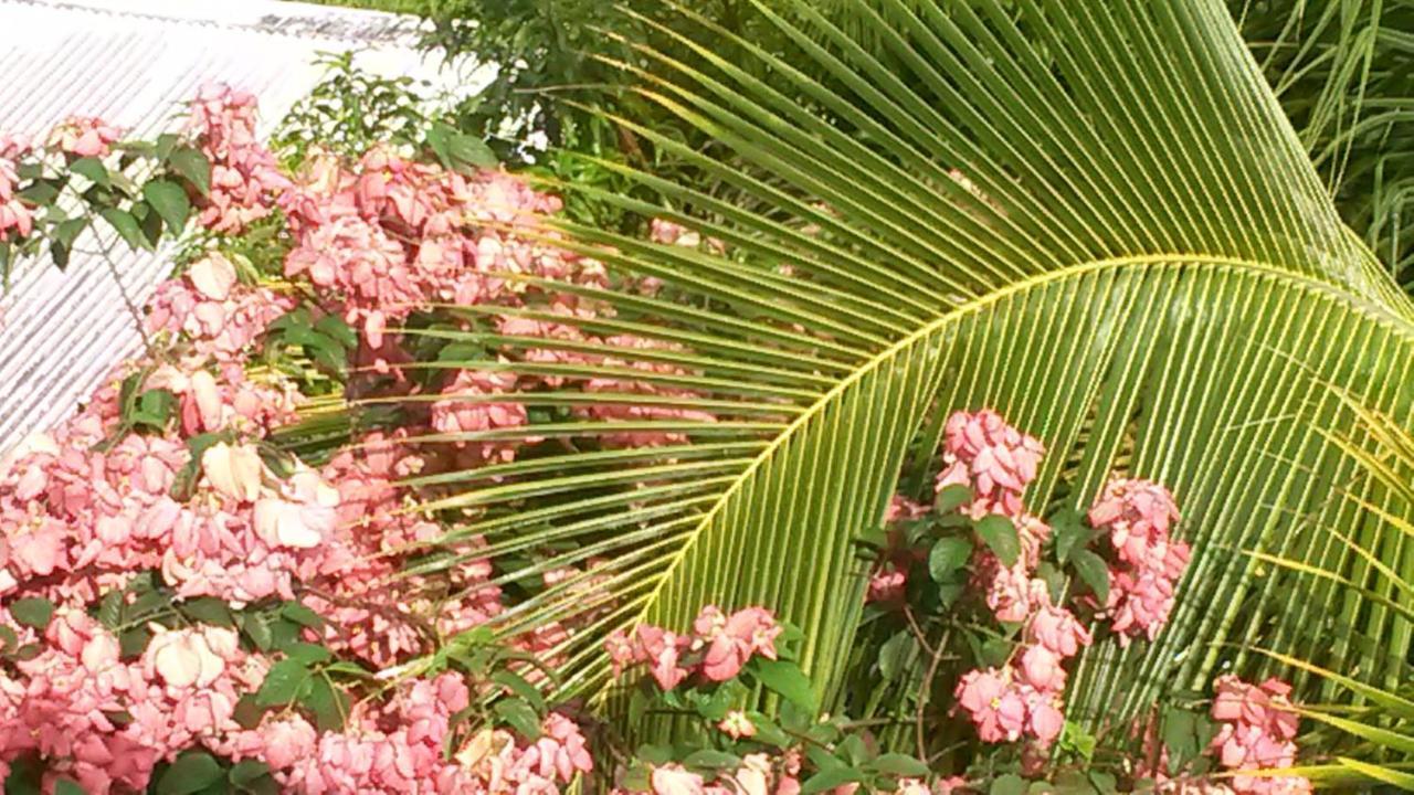 T2 Kay Zanndoli Holiday home