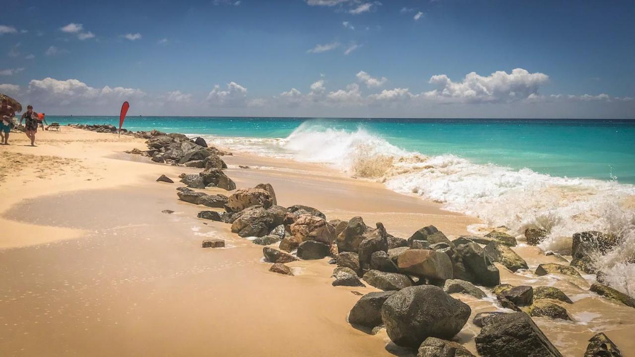 Apartment Only 350 Yards From Eagle Beach! Palm Beach