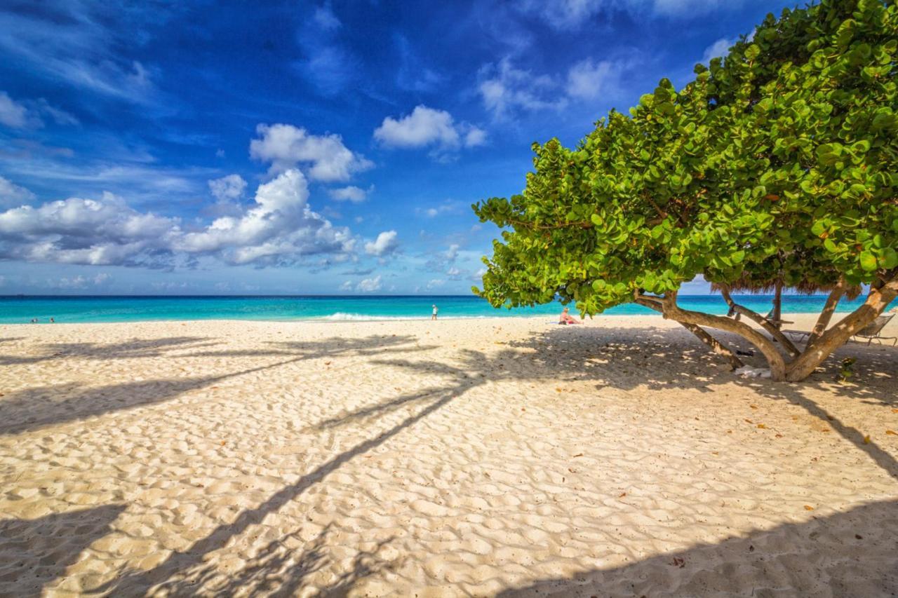 Only 350 Yards From Eagle Beach! Palm Beach