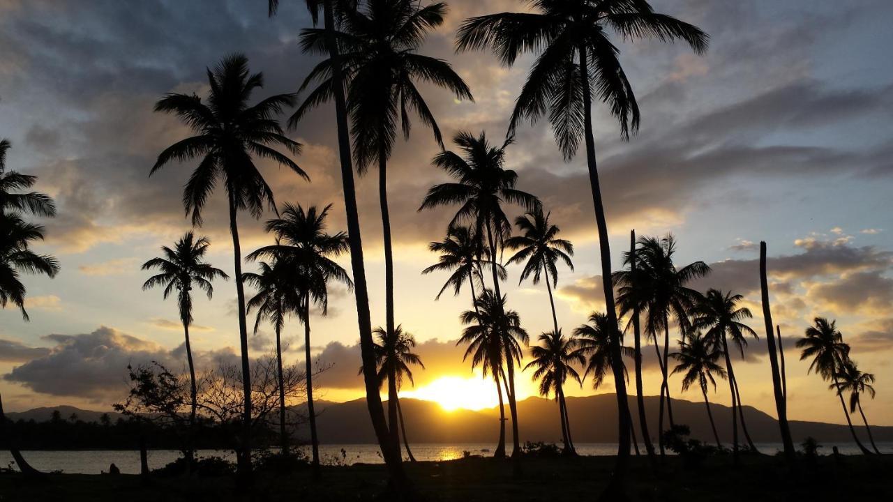 Labellaventura *