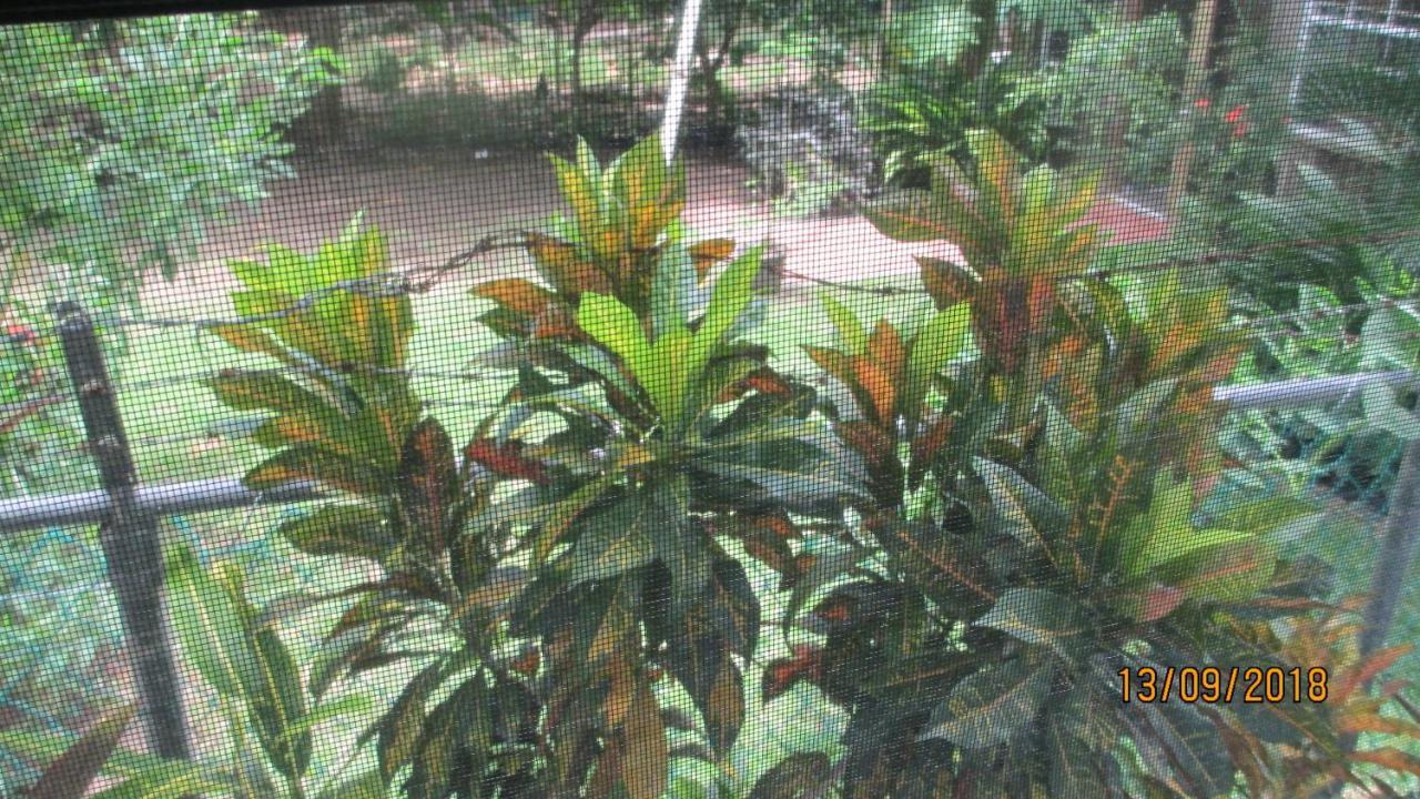 Tropical Breeze Vacation And Gros Islet