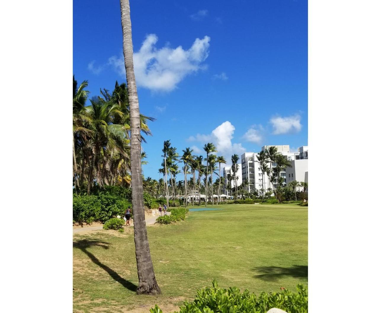 Beautiful At The Wyndham Rio Mar Margaritaville Apartment