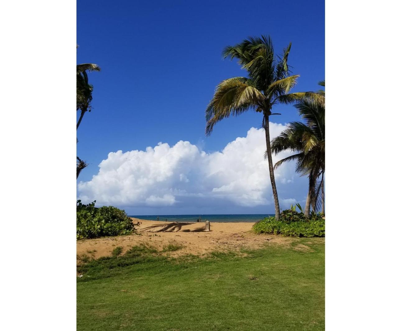 Beautiful At The Wyndham Rio Mar Margaritaville Rio Grande
