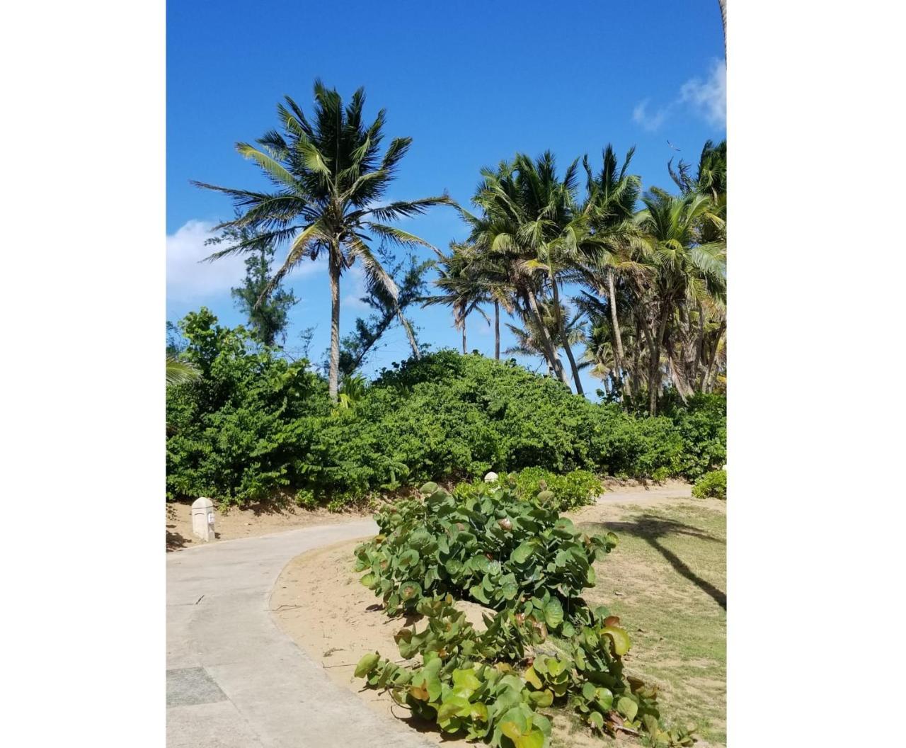 Beautiful At The Wyndham Rio Mar Margaritaville * Rio Grande