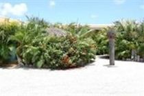 Tropicana Apartment