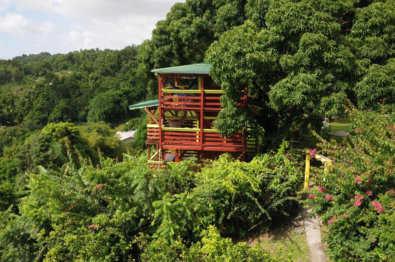 Guadeloupe-paradisio *