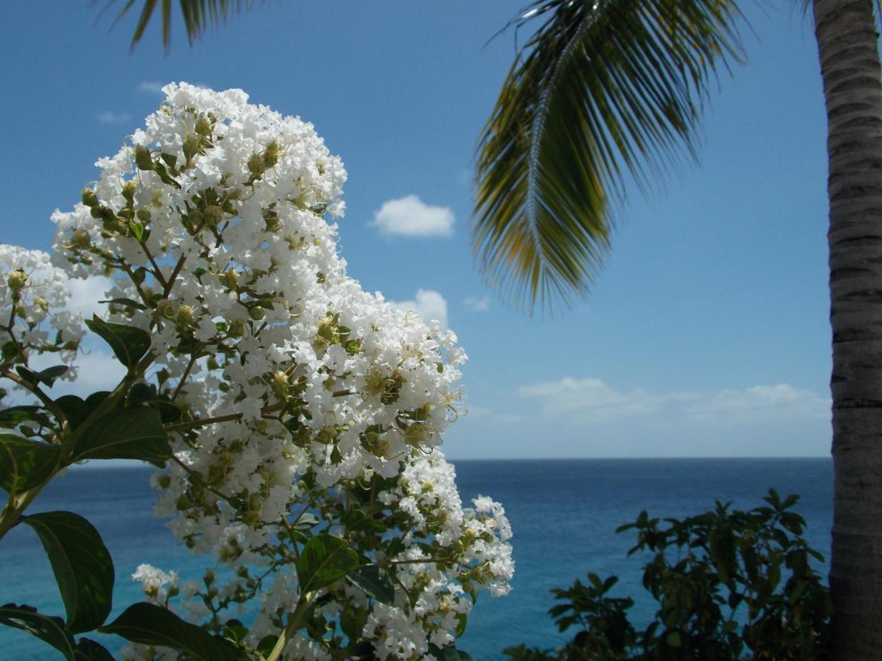 Apartment Bon Bini Curacao *