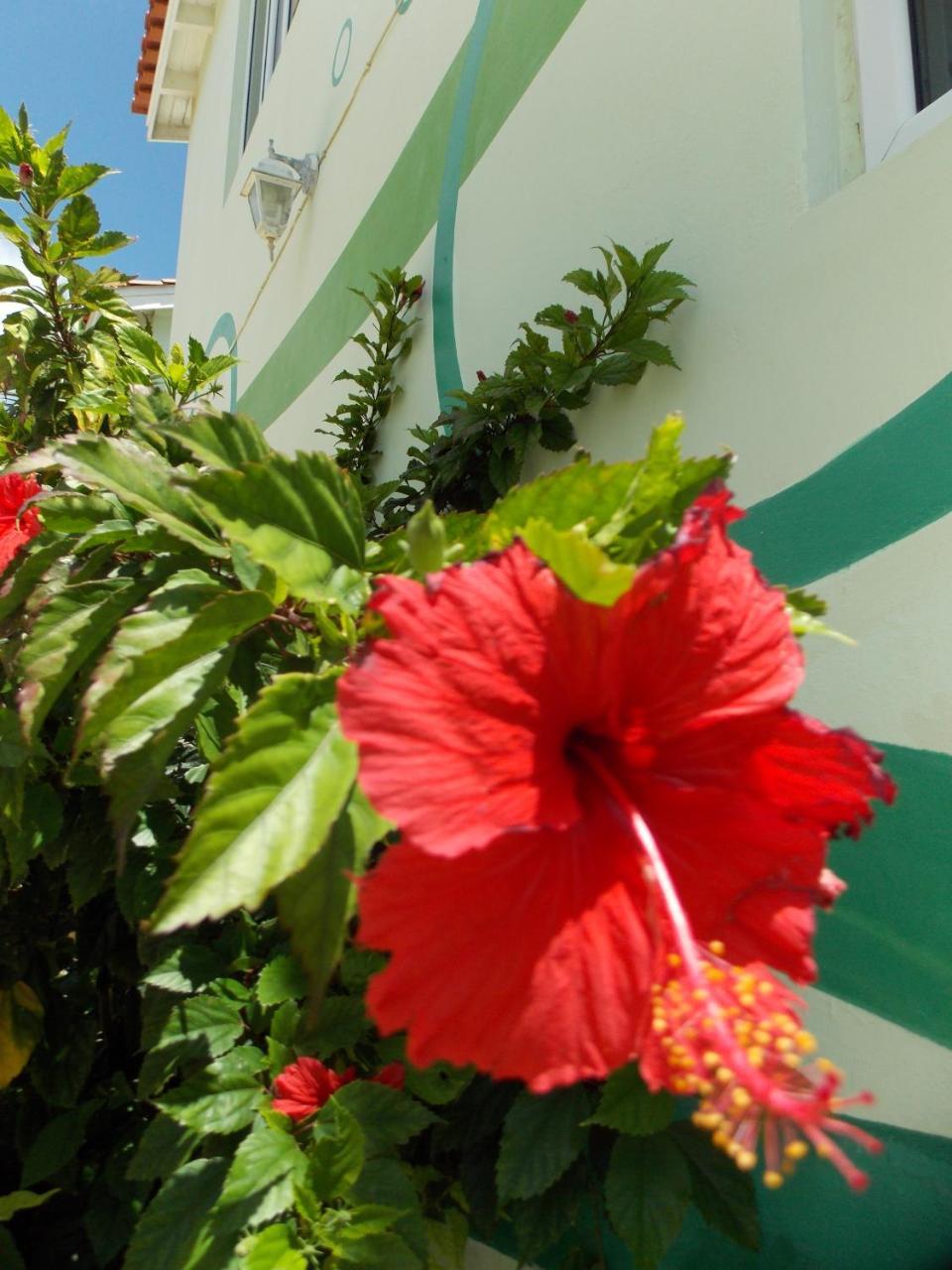 Bon Bini Curacao Apartment Lagun