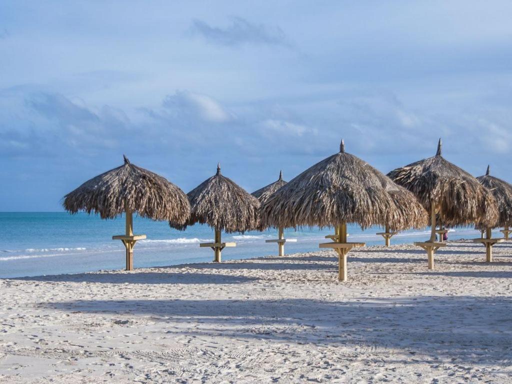 Aruba Palm Beach House Noord