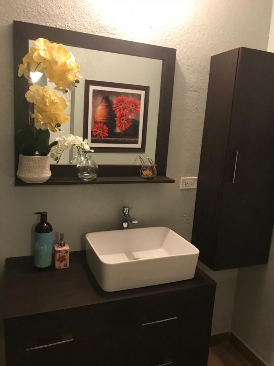 Apartamento Abacus Jamaica The Zana *
