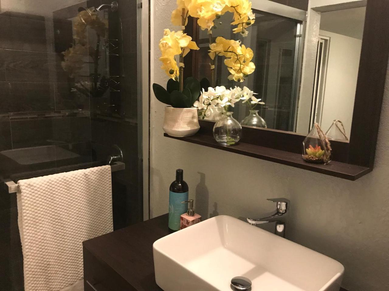 Apartamento Abacus Jamaica The Zana