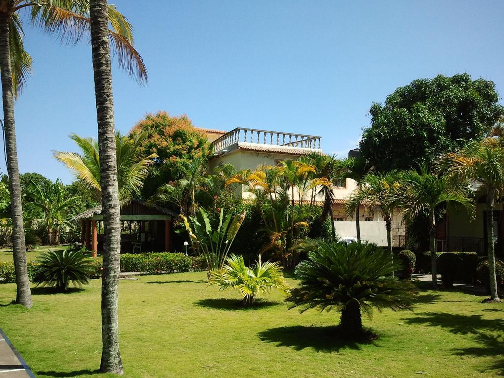 El Colibri