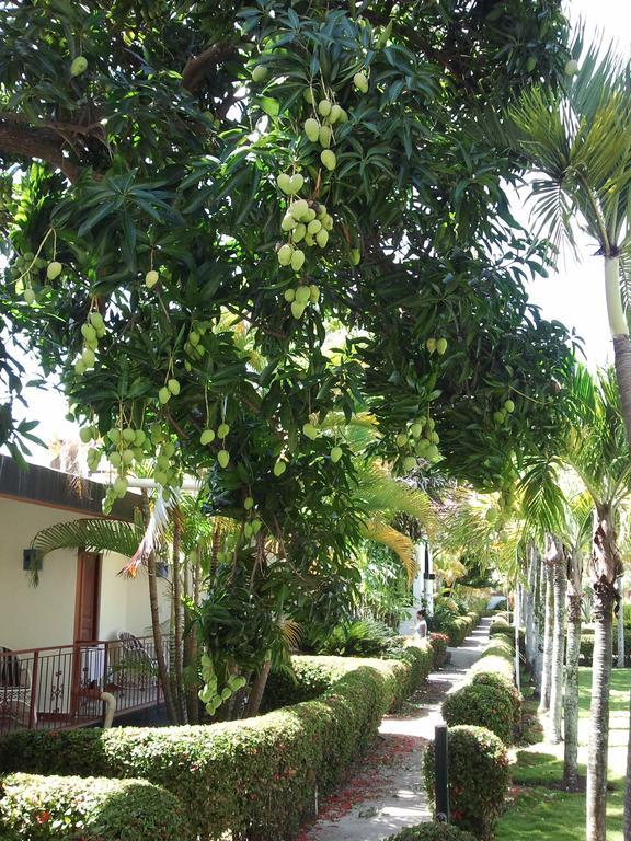 Hotel El Colibri Sosua